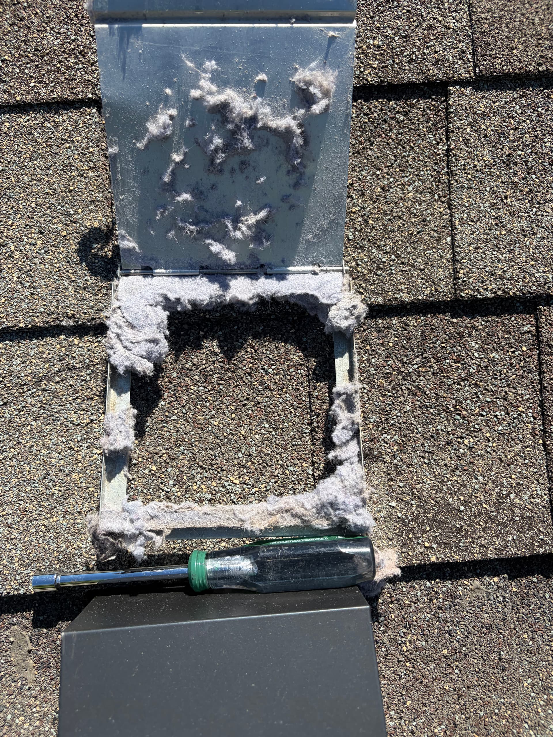 Gallery photos for This Is What a Clogged Dryer Vent Actually Looks Like: Image #1