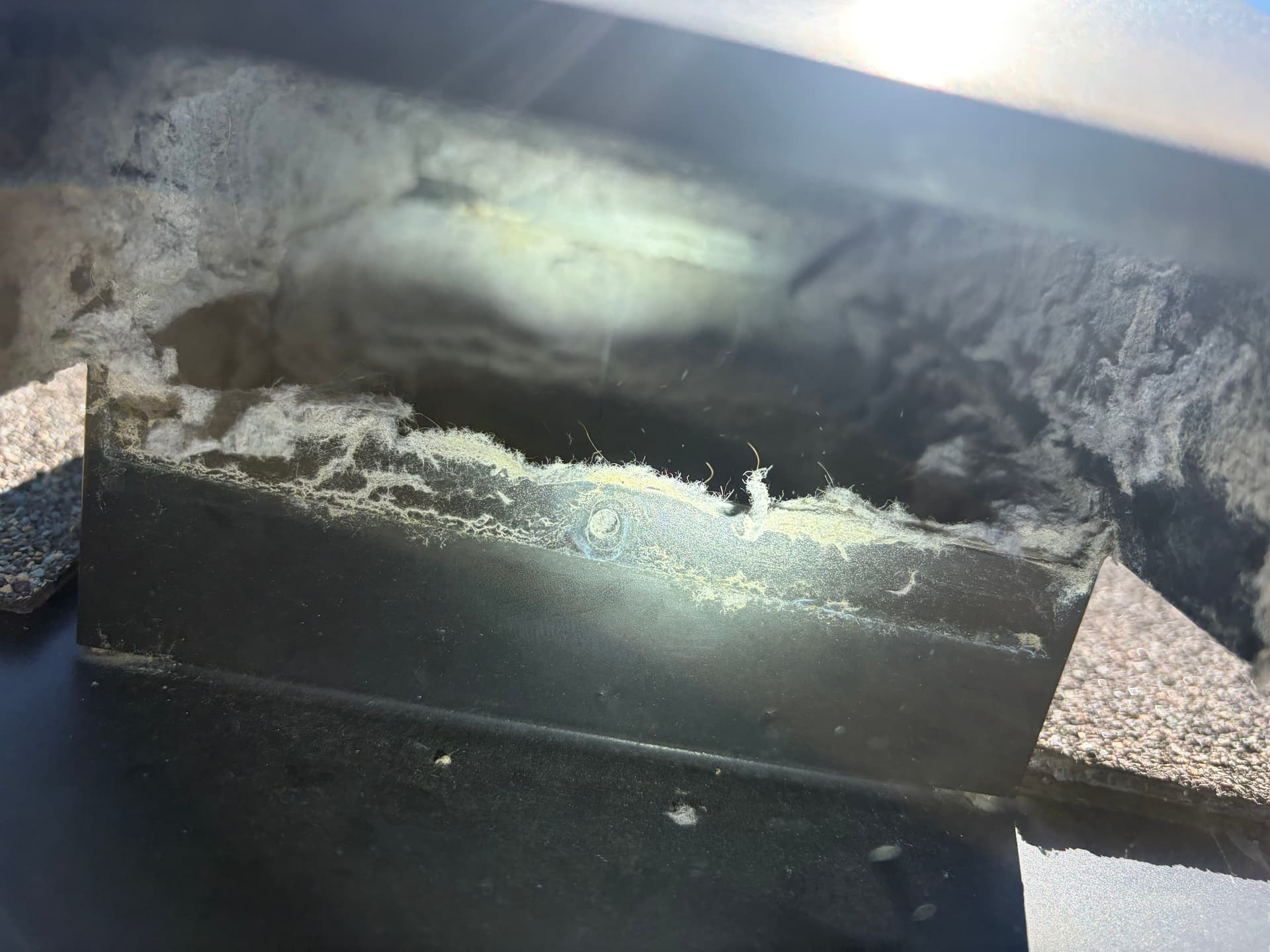 Gallery photos for This Is What a Clogged Dryer Vent Actually Looks Like: Image #4
