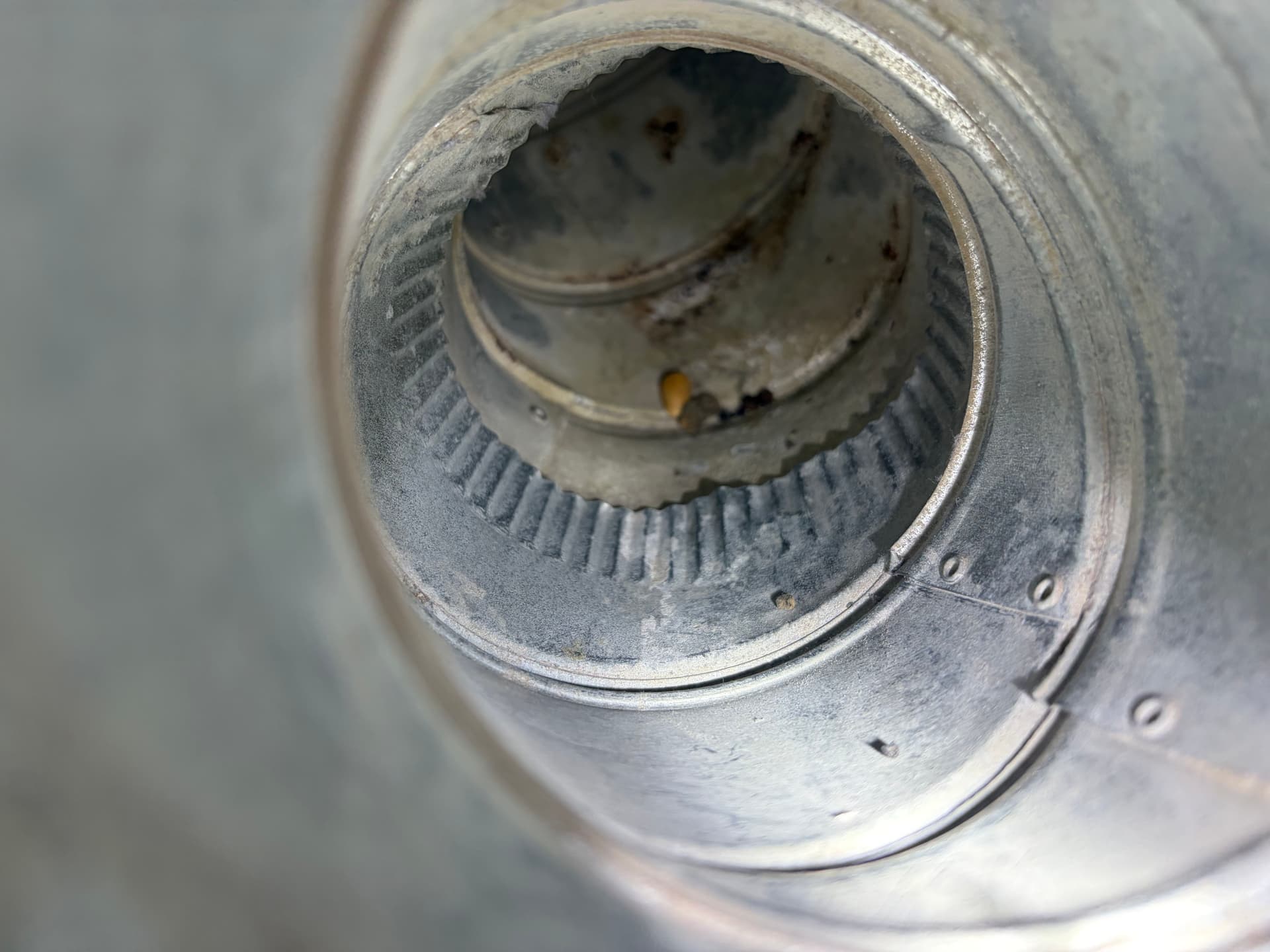 Gallery photos for This Is What a Clogged Dryer Vent Actually Looks Like: Image #6