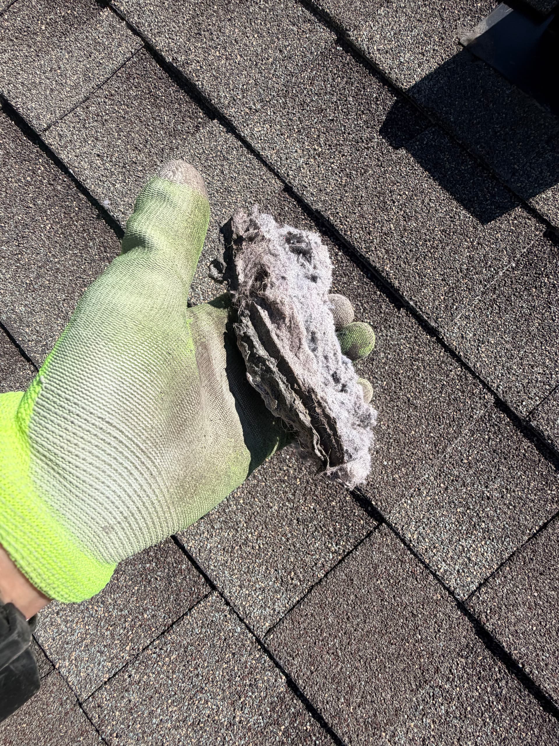 Gallery photos for This Is What a Clogged Dryer Vent Actually Looks Like: Image #3