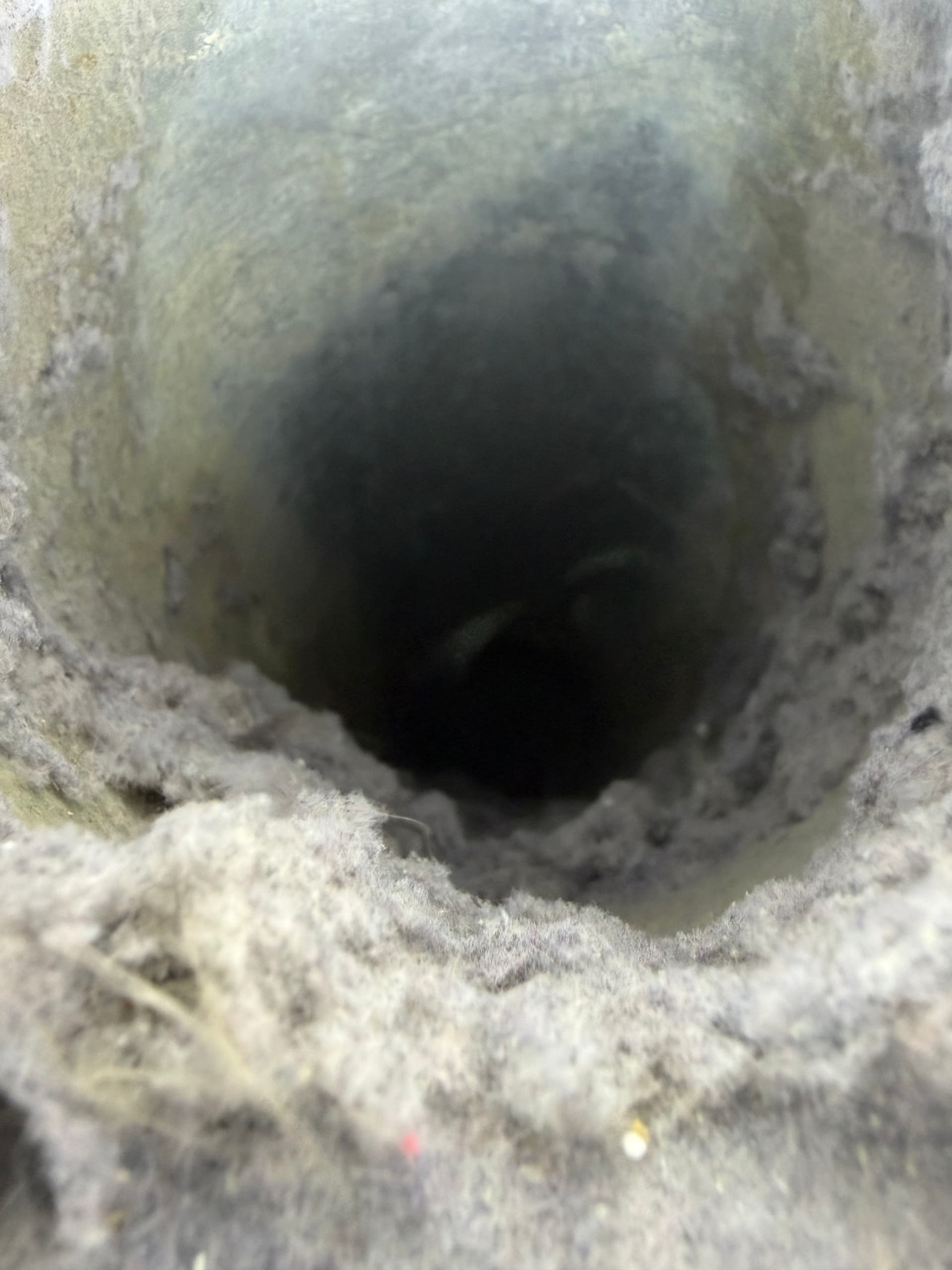 This Is What a Clogged Dryer Vent Actually Looks Like image